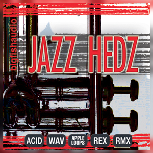 JAZZ HEDZ - ACID JAZZ PAK