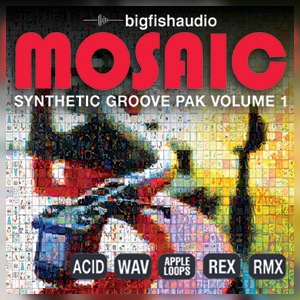 MOSAIC - SYNTHETIC GROOVE PAK VOL.1