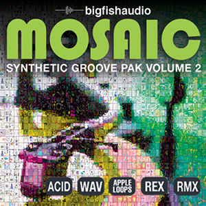 MOSAIC - SYNTHETIC GROOVE PAK VOL.2
