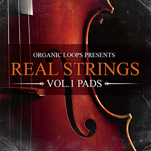 REAL STRINGS 1 PADS