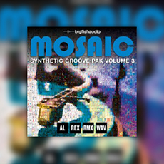 MOSAIC: SYNTHETIC GROOVE PAK VOL.3