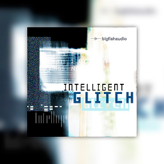 INTELLIGENT GLITCH