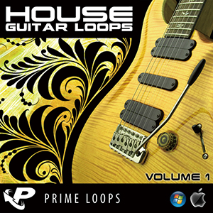 HOUSE GUITAR LOOPS 1
