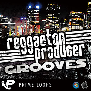 REGGAETON PRODUCER GROOVES