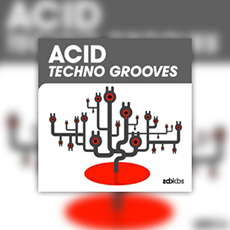 ACID TECHNO GROOVES