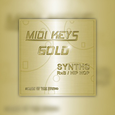 MIDI KEYS GOLD: SYNTH RNB/HIPHOP