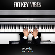 FAT KEY VIBES 1