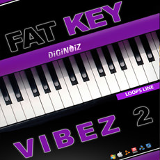 FAT KEY VIBEZ 2