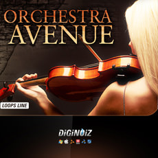 ORCHESTRA AVENUE