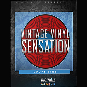VINTAGE VINYL SENSATION