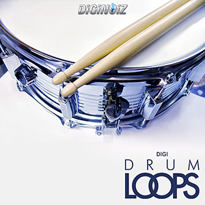 DIGIDRUM LOOP