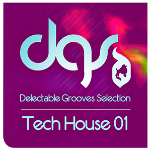 TECH HOUSE GROOVES SELECTION 01