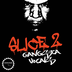 DJ SYKOPATH SLICE VOL 2 - GANGSTA VOCALS