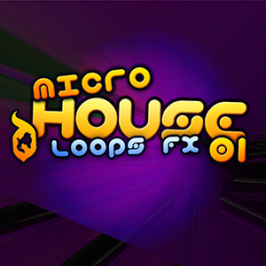MICRO HOUSE 01