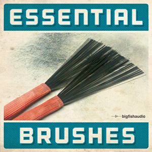 ESSENTIAL BRUSHES