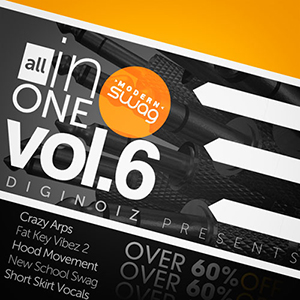 ALL IN ONE 6 MODERN SWAG