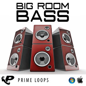 BIG ROOM BASS