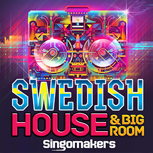 SWEDISH HOUSE & BIG ROOM