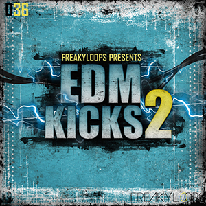 EDM KICKS 2