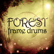 FOREST FRAME DRUMS