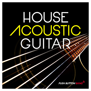 HOUSE ACOUSTIC GUITAR
