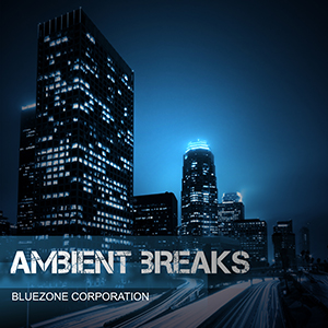 AMBIENT BREAKS