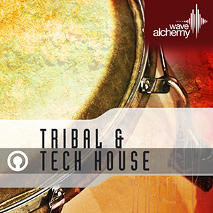 TRIBAL AND TECH HOUSE