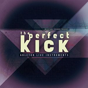 THE PERFECT KICK