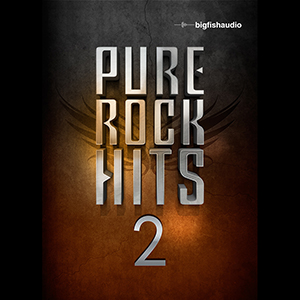 PURE ROCK HITS 2