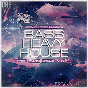 BASS HEAVY HOUSE