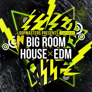 BIG ROOM HOUSE & EDM