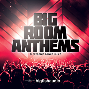BIG ROOM ANTHEMS