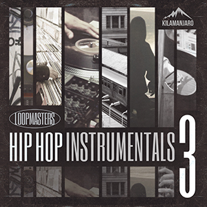 HIP HOP INSTRUMENTALS VOL3