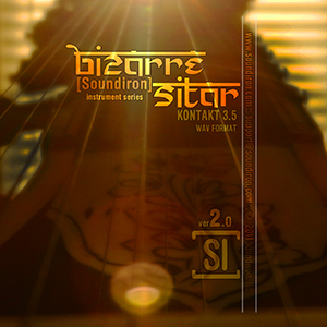 BIZARRE SITAR