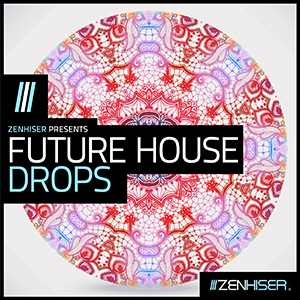 FUTURE HOUSE DROPS
