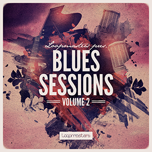 THE BLUES SESSIONS VOL2 - HARMONICA