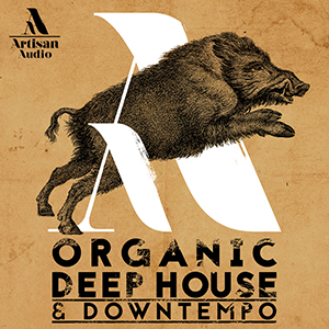 ORGANIC DEEP HOUSE & DOWNTEMPO