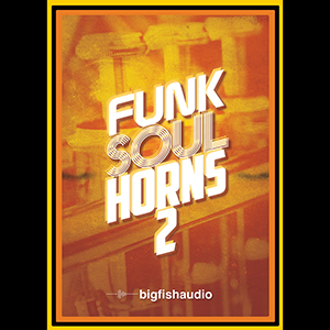 FUNK SOUL HORNS 2