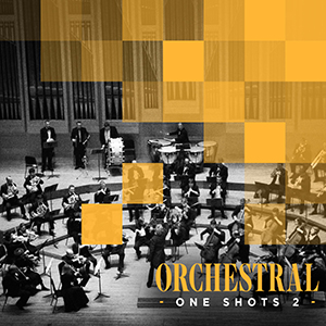 ORCHESTRAL ONE SHOTS 2