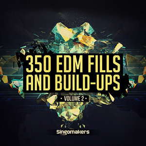 EDM FILLS AND BUILD-UPS VOL 2