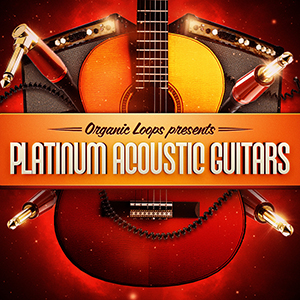 PLATINUM ACOUSTIC GUITARS