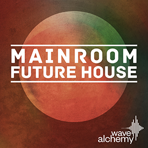 MAINROOM FUTURE HOUSE