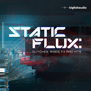 STATIC FLUX