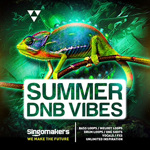 SUMMER DNB VIBES