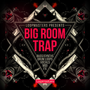 BIG ROOM TRAP