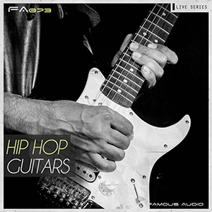 HIP HOP & SOUL GUITARS