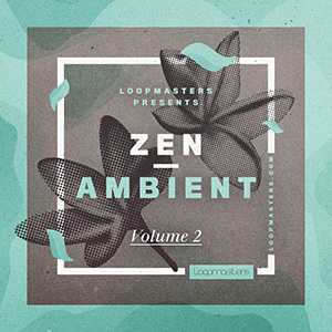 ZEN AMBIENT - VOL 2
