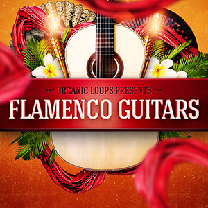 FLAMENCO GUITARS