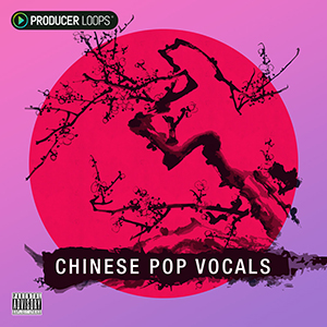 CHINESE POP VOCALS VOL 1