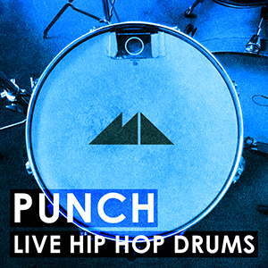PUNCH